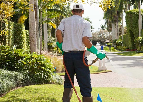 About Sandersville GA Pest Control Pros